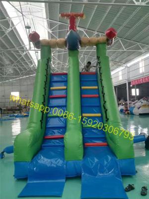 China shark samll kids pool water slide for sale