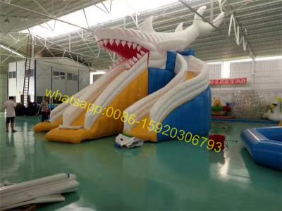 China giant shark slide water for sale