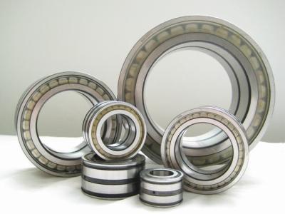 China Stable Precision Cylinderical Roller Bearing with ISO Certificated NJ2204E for sale