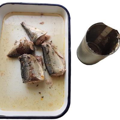 China Newest Corp 2022 canned canned seafood product wholesale supplier hot selling canned mackerel fish in brine 425g/125g/155g for sale