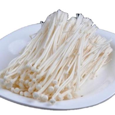 China Canned White Raw Needle Spreads Best Quality Fresh Healthy Cultivated Enoki Mushroom In Whole Canr Sale Export To Europe for sale