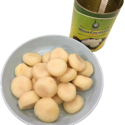 China Factory Supply Bargain Price Canned Food Canned Vegetable Canned Chestnuts In Syrup 425g/400g/567g for sale