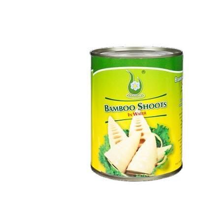 China Fujian factory wholesale high quality canned canned bamboo shoots various in brine halves 567G for sale