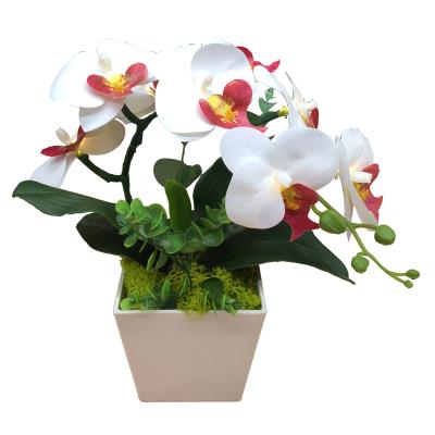 China Led Lighting Fashion Indoor Decoration 3D Touch Real PU Artificial Flower White Orchid With LED White Light Wholesale Price for sale