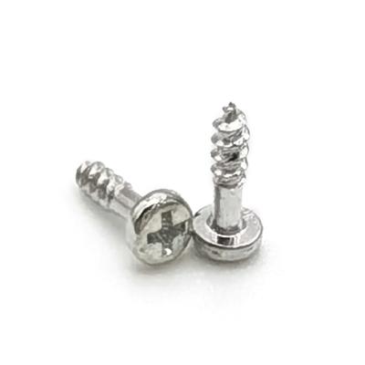 China Wholesale self tapping screw self tapping screw m3 10mm from Pan China for sale