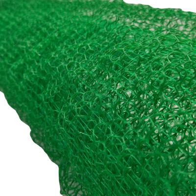 China Design contemporâneo 2m largura Controle de erosão Geonet/Geomat com cobertura vegetal 3D à venda