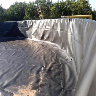 Κίνα 60 ml HDPE Liner Υδροφρόνητη μεμβράνη 40 ml Fish Pond Liner 0,5 mm 20 mil Γεωμεμβράνη προς πώληση