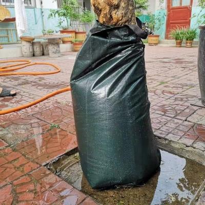 China 20 Gallon PE Tree Watering Bag with Zipper Eco-Friendly Drip Irrigation Solution for sale