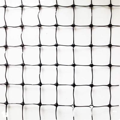 China 1.5cm Mesh 50gsm PP Garten Extrudiert UV Blockiert Kunststoff Landwirtschaft Anti-Mole Net Roll zu verkaufen