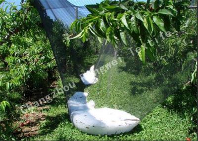 China Professional Plastic Anti Hail Netting for Fruit Tree Shade Nets Multi Color Customized for sale