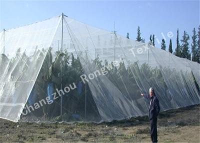 China White Crystal Color Raschel Knitted Polyethylene Agriculture Hail Protection Net , Anti Hail Nets for sale