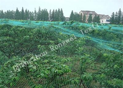 China Fruits / Plants Protection HDPE Knitting Anti-bird Net , Hexagon Mesh Bird Netting for Crops for sale