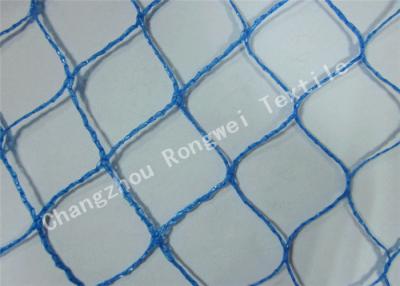 China Agricultural Bird Netting Anti-bird Net / Bird Protection Net for Trees Blue or Customized for sale