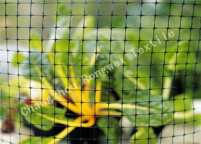 China Anti Animal Garden Fence Netting Raptor and Small Mammal Enclosure Handrail Nets for Trees for sale