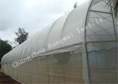 China Agricultural Plastic Anti Insect Netting / Insect-proof Mesh Plant Covers Transparent or Custom for sale