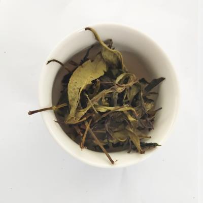 China Loose Tea Phoenix Dancong Tea Tastes Good And High Quality for sale