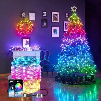 China Minimalist USB Smart Blue tooth Led Copper Wire String Light 5M/10M/20M/30M App Control Christmas Tree Decor New Year Fairy Light Garland for sale