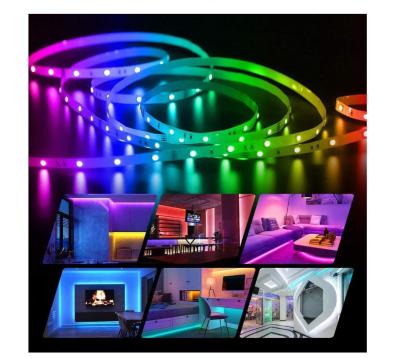 China High Quality Cheap Price 12V 5050 LANDSCAPE 5 Meters RGB Waterproof Smart Lux LED Strip Light for sale