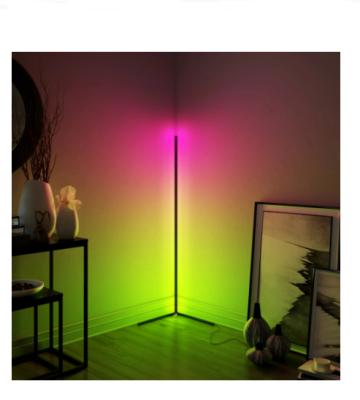 China Modern Led Floor Lamp Creative Dual Lighting Resources Modern Led Tall Floor Lamp for sale