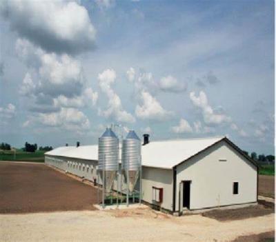 China Farm House Steel Structure House Prefab Warehouse Steel Structure Building for sale