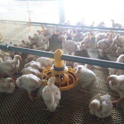 China Farms Supplier Low Price Poultry Shed Golden Broiler Pan Feeding for sale