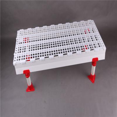 China Farms Other Hot Selling Animal Husbandry Equipment Plastic Slatted Floor For Poultry for sale