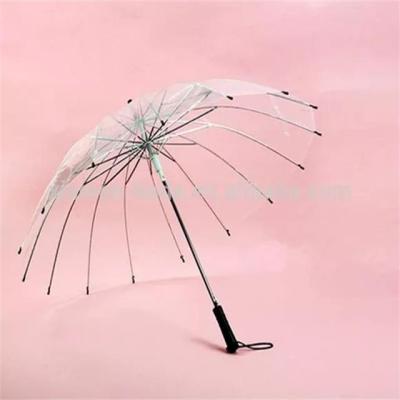 China All In 1 Umbrela / Straight Umbrella / Transparent POE Umbrella All In 1 , Automatic Open Customized Plastic For Adults 23