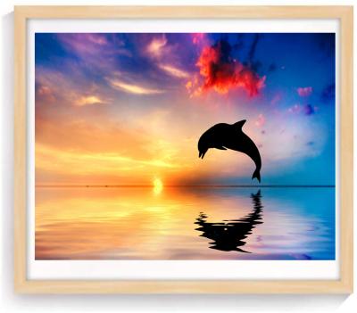 China New Full Square Round 5d Dolphin Mosaic Diamond Painting For Home Decoration Classic / Postmodern for sale