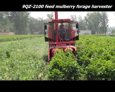 China corn and grass cleaver machine 9QZ-2100 blackberry silage harvester cow forage grass cutter machine price for sale