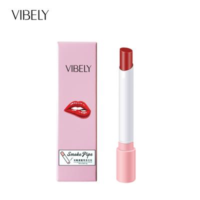 China VIBELY 16 Color Smoke Tube Lipstick Matte Hydrating Lipstick Easy To Carry Lasting Waterproof Fashion Lip Silk Soft Stick 16 Small for sale