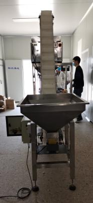 China Food Stainless Steel Automatic Granule Multi Function Packing Machine for sale