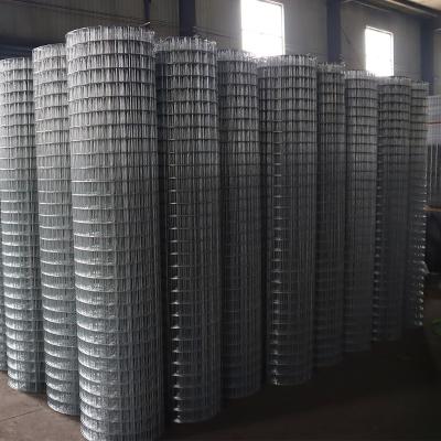 China Plain Weave Stainless Welded Wire Mesh Price Non Galvanized Welded Wire Mesh Fencing for sale