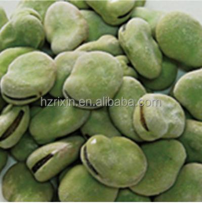 China FROZEN Frozen Broad Bean (Fava Bean Snow Bean) for sale