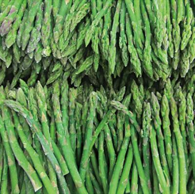 China IQF FROZEN Frozen Green Asparagus for sale