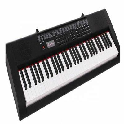 China Digital China Professional 61 Keys Display Standard Electronic Keyboard Digital Piano for sale