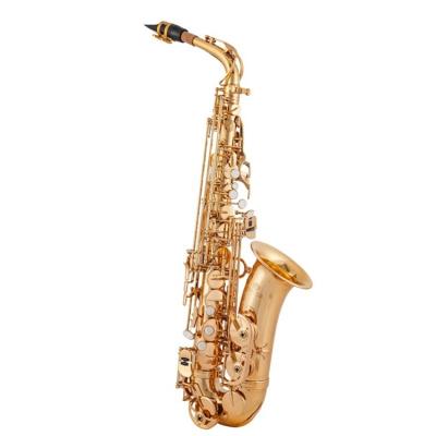 China Durable Chinese Brand Customized Alto Saxophone Tenor Saxophone Gold Lacquer Modern Design for sale