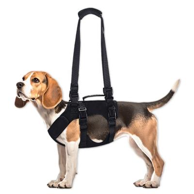 China Sustainable Sustainable Dog Pulling Fashion Tactical Dog Harness Pet Harness Big Padded Service Pet Chest Vest Dog Harness Set for sale