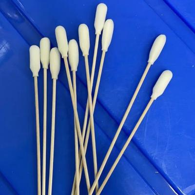 China Disposable Wooden Handle Swab Sponge Swab Foam Sampling Swab for sale