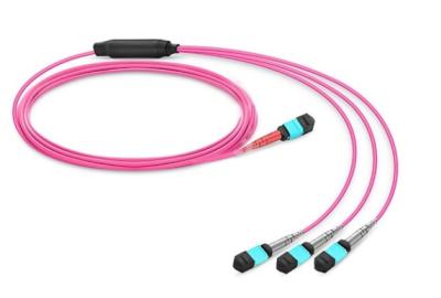 China Customized MTP MPO OM4 Multimode 24 Fiber Optic Cable Conversion Harness for sale