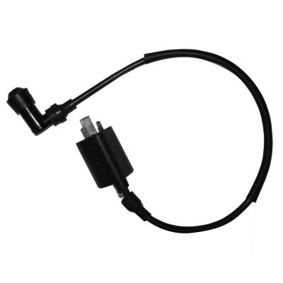 China 300cc steel and copper ignition coil for Bu Yang Feishen D300 H300 Xinyang XY300 ATV for sale