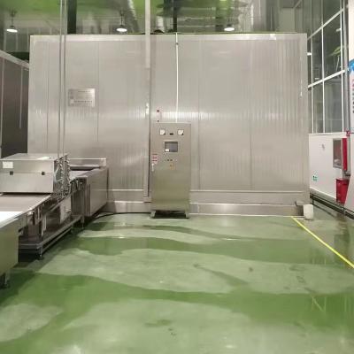 China Machinery Repair Shops 1000kg/h Customized IQF Frozen Fruits And Vegetables / Fluidized Bed Tunnel Freezer for sale