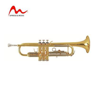 China Gold Lacquer Brass Wind Instruments Gold Lacquer Head Wind Instrument B-Plate TR-1 for sale