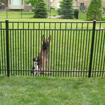 China Factory Easily Assembled Black Galvanized Fence Garden Home Decorative Metal Wrought Iron Steel Fence Panels Outdoor for sale