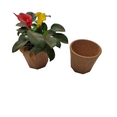 China Eco-friendly Cork Plant Pot Flower Bucket Flower Pot Customize Thermoforming Making Striped Cork Flowerpot for sale