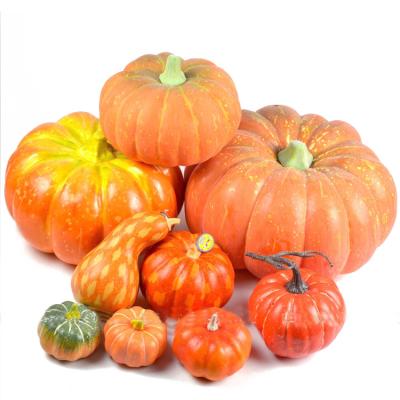 China Best Price Foam Craft Home Artificial Pumpkins Big Decoration Moss Pumpkins Wholesale for sale