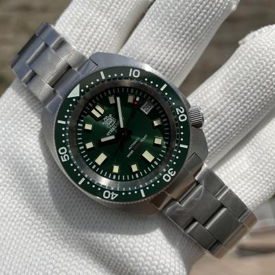 China Date STEELDIVE SD1977 New Arrival 42mm NH35 Movement Automatic Mechanical Watches OEM 20ATM Diver Watch for sale