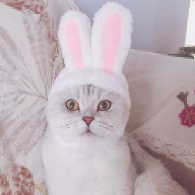 China Wholesale Cute Stocked Bunny Costume Hat Rabbit Ears Cat Dog Pet Accessories Headwear for sale