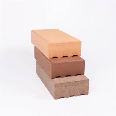 China Different Price Angle Bricks Favorable Colors And Paver Clay Bricks For Park for sale