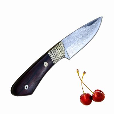 China High Quality Disposable Fixed Knife Damascus Paring Knife Steel Material Ebony Wood Handle Outdoor Knives for sale