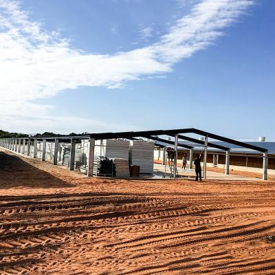 China Steel Chicken Shed Prefab Buildings 3d Steel Structure Chicken Shed Factory for sale